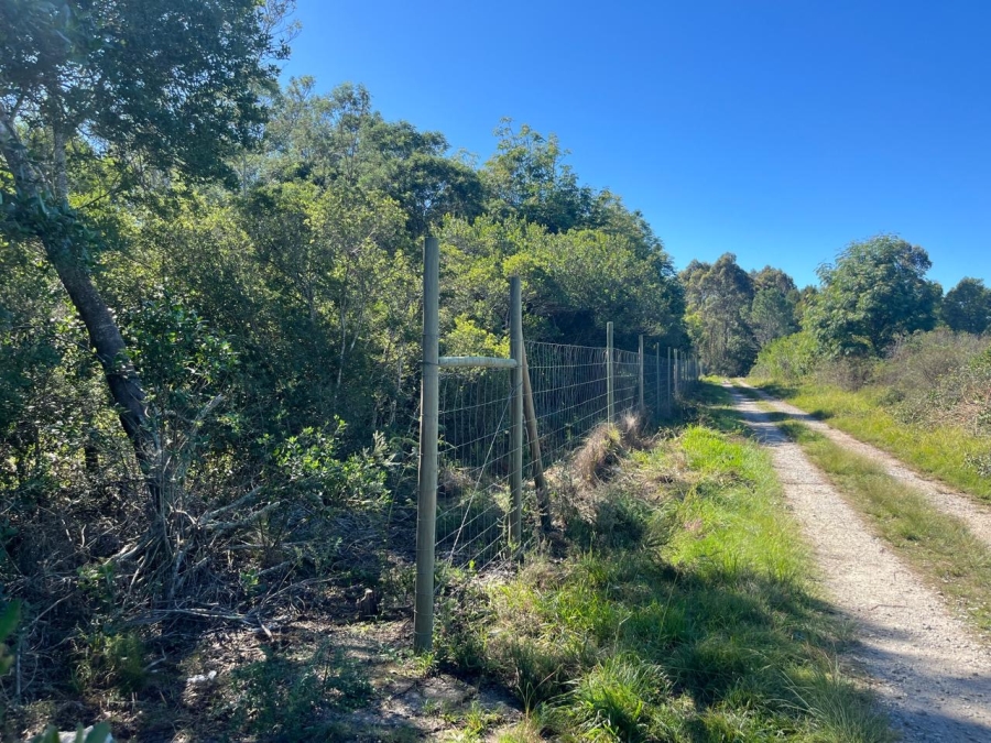 0 Bedroom Property for Sale in The Crags Western Cape